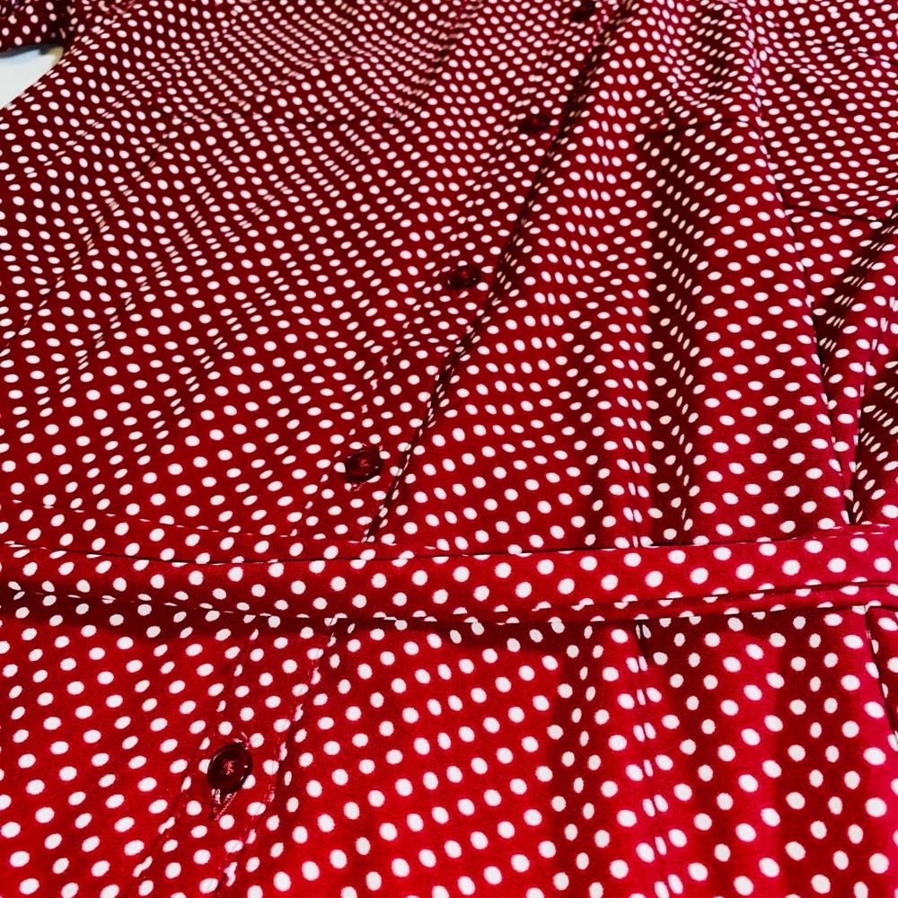 Express tie waist, burgundy polka dot, collared dress